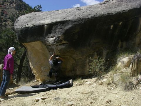Moby Dick(V6)