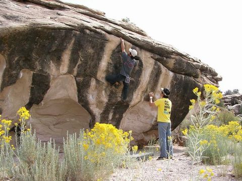 Homemade Goodness(V5)
