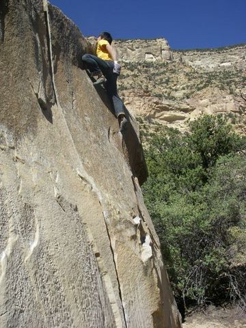 Beer Belly(V5)