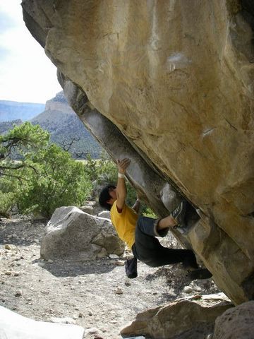 Planet of the ape(V6)